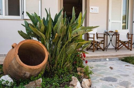 Gennadi Villa Del Mar Ngoại thất bức ảnh